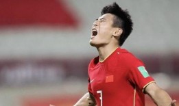 武磊球场爆料事件始末视频,真相与争议的交织